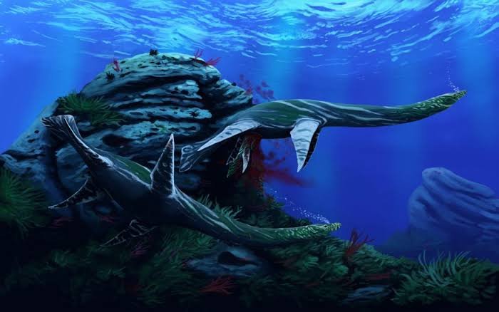 Plesiosaurus